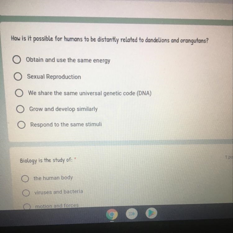 How is it possible for humans to.be distantly related to dandelions and orangutans-example-1