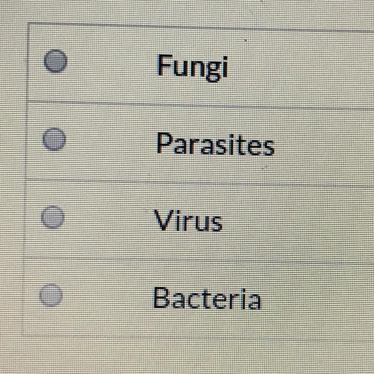 Unicellular organism that gets their nutrients from its environment or surroundings-example-1