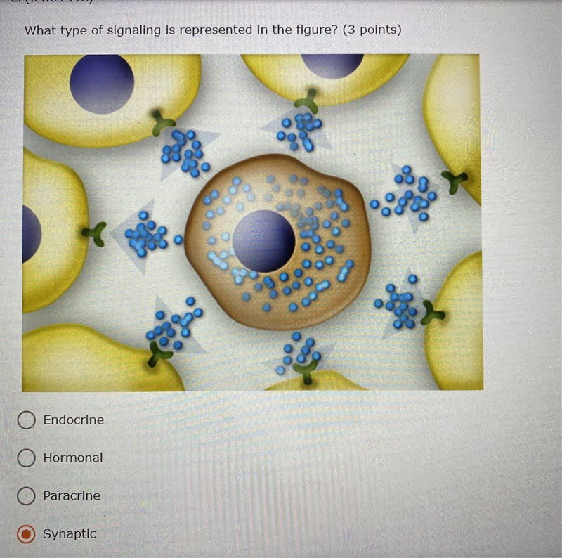 PLEASE HELPPP What type of signaling is represented in the figure?-example-1