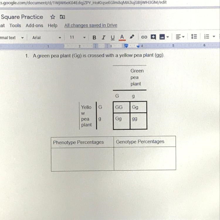 How do I know the phenotype and genotype percentage on a punnet square?-example-1