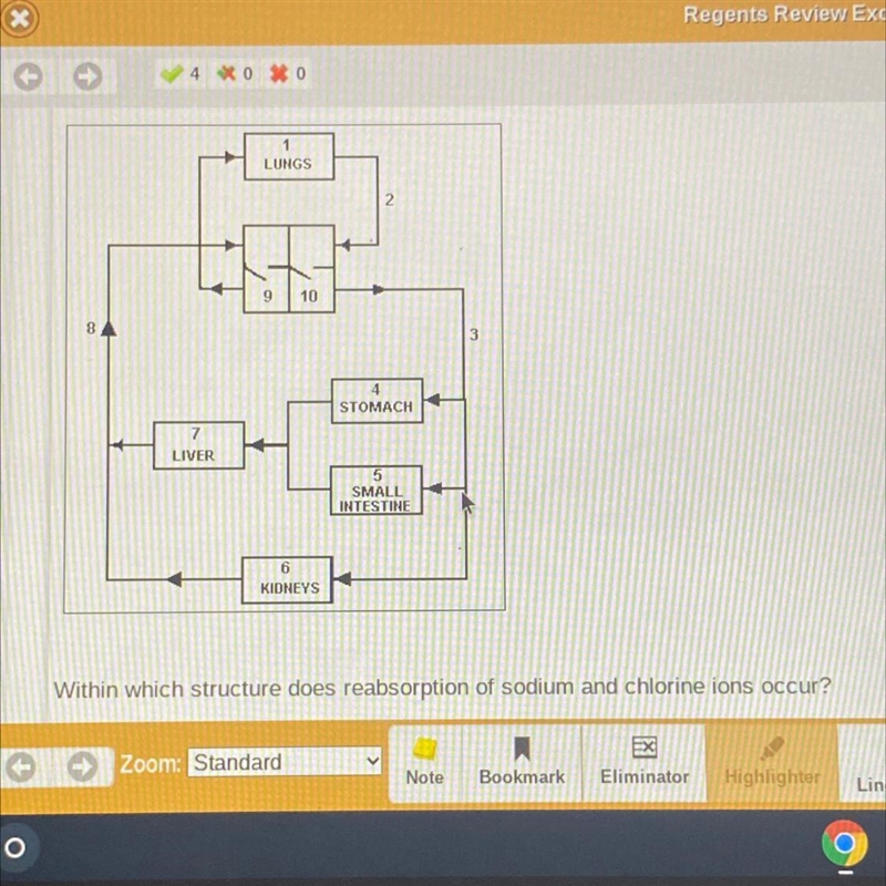 Need help with this 10th grade biology-example-1