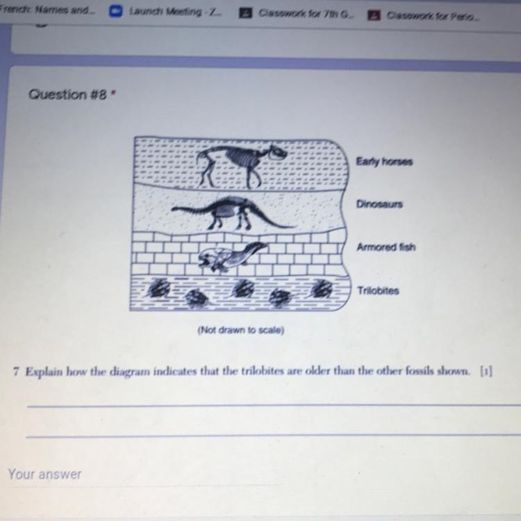 Need help with this question-example-1