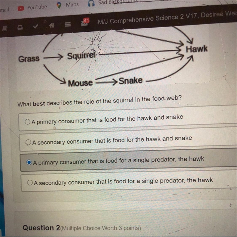 What best describes the role of the squirrel in the food web?-example-1