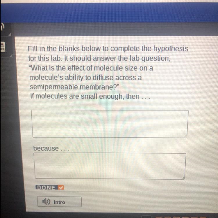 What is the because part-example-1