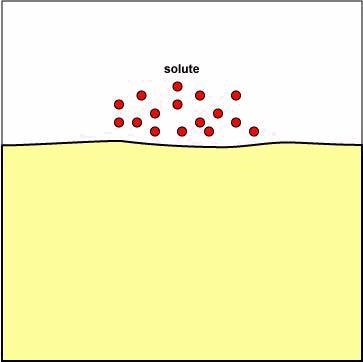 Cells occasionally need to take in or drink large amounts of water, this process is-example-1