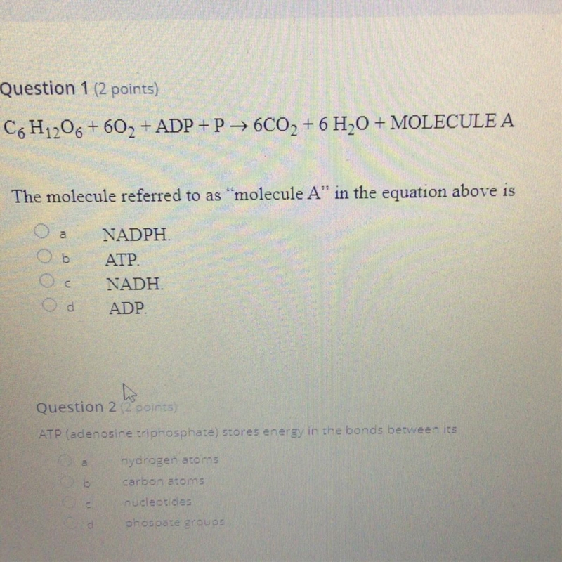 I only need the answer to question one, could anyone help?-example-1