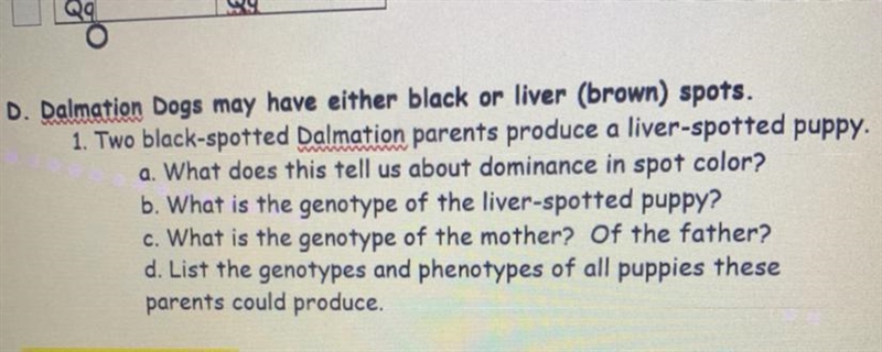 D. Dalmation Dogs may have either black or liver (brown) spots. 1. Two black-spotted-example-1