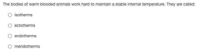 What would they be called? I don't know/ I am multitasking and don't want to screw-example-1