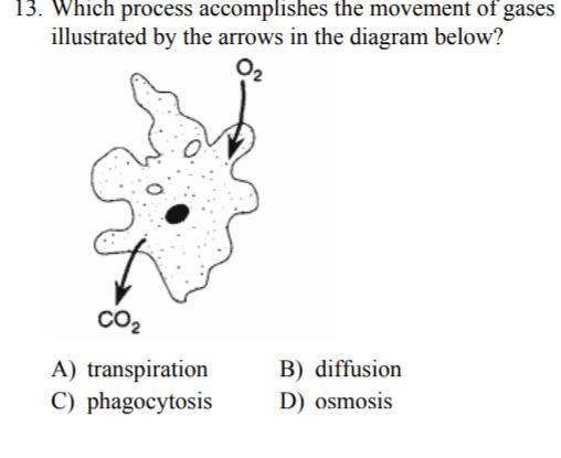 Can someone answer this!!!!!!-example-1