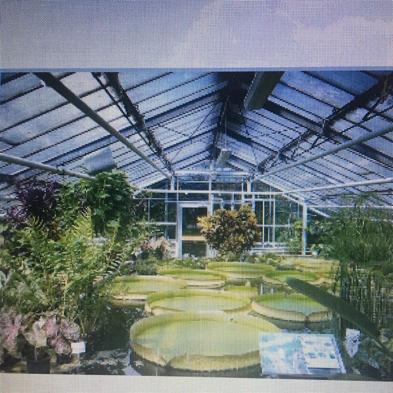 ANSWER QUICK PLEASE !!! Explain how a greenhouse stays warmer than its outside.-example-1