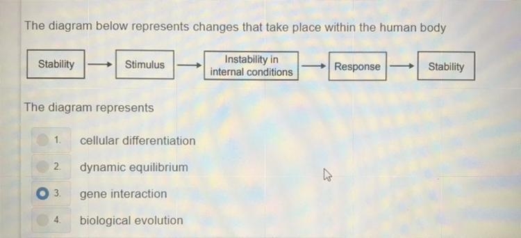 Guy’s pls help me !!!! And it’s not 3-example-1