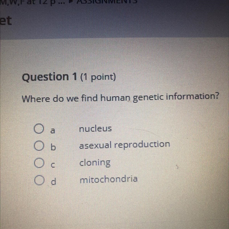 Where do we find human genetic information? nucleus asexual reproduction cloning mitochondria-example-1