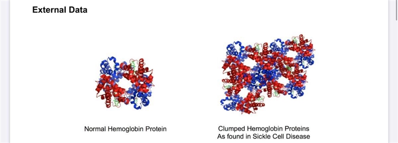 Scenario Hemoglobin is a protein that helps transport oxygen in specialized red blood-example-1