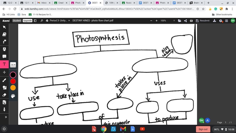 Photosynthesis flow chart-example-1