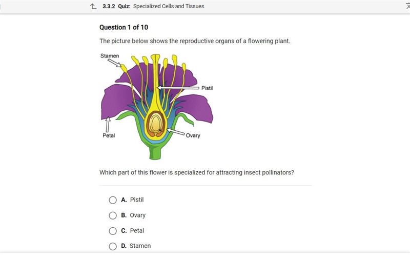 Which part of this flower is specialized for attracting insect pollinators-example-1