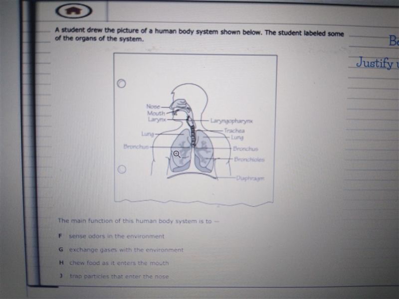 Please help me with this question and with an explanation pls!!!-example-1