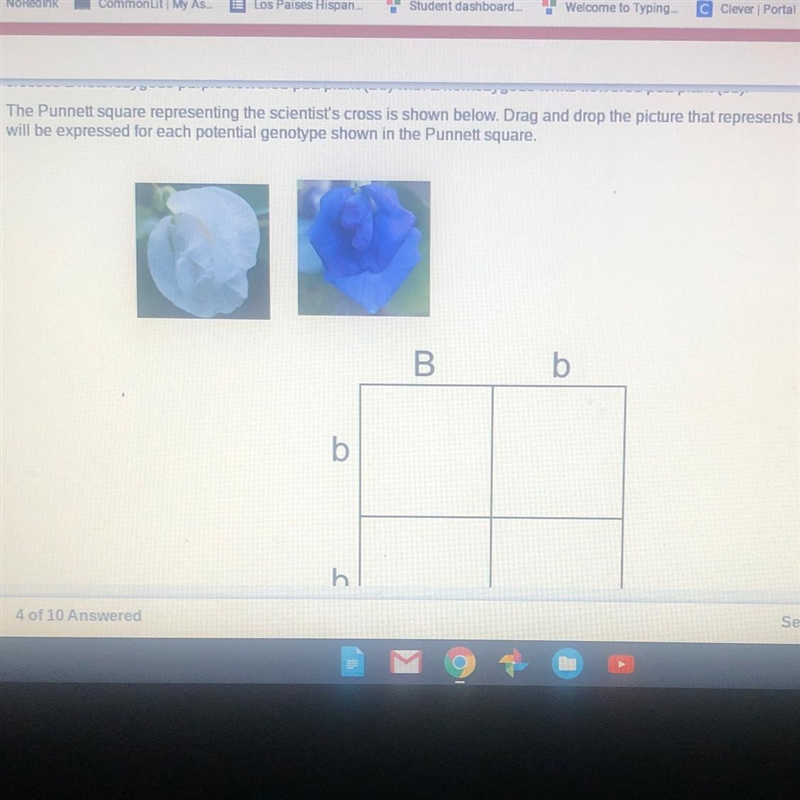 Help please please help please-example-1