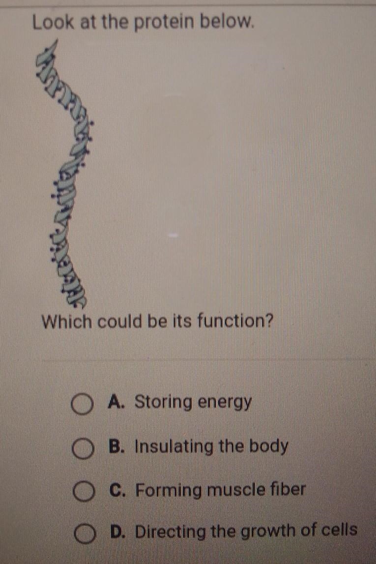 Look at the protons below. Which could be it's function? A. storing energy B. insulating-example-1