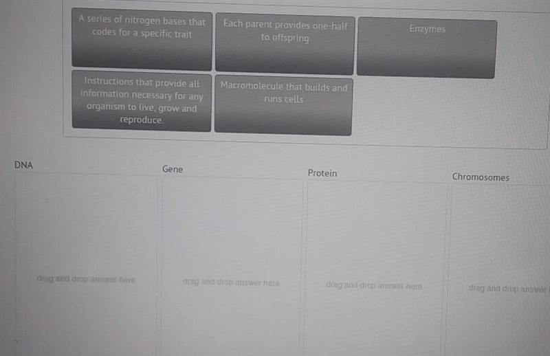 What is the relationship between DNA, chromosomes, and any organism? Drag and drop-example-1