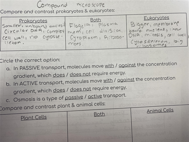 Can someone help me with these? (The circle the correct option parts)-example-1