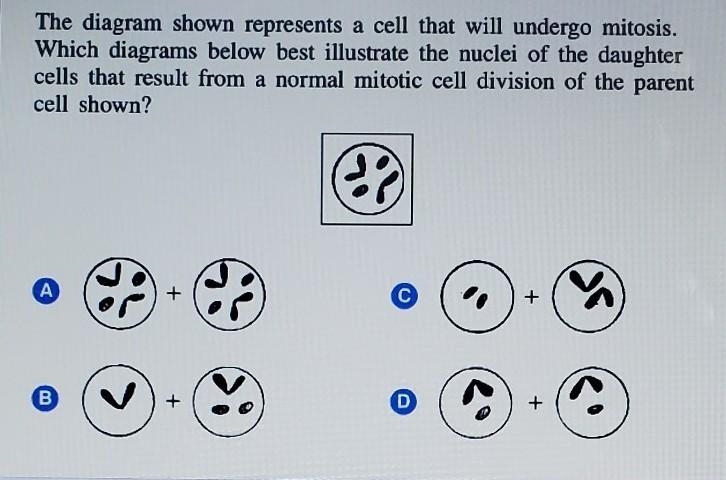 Please help, thank u. ​-example-1