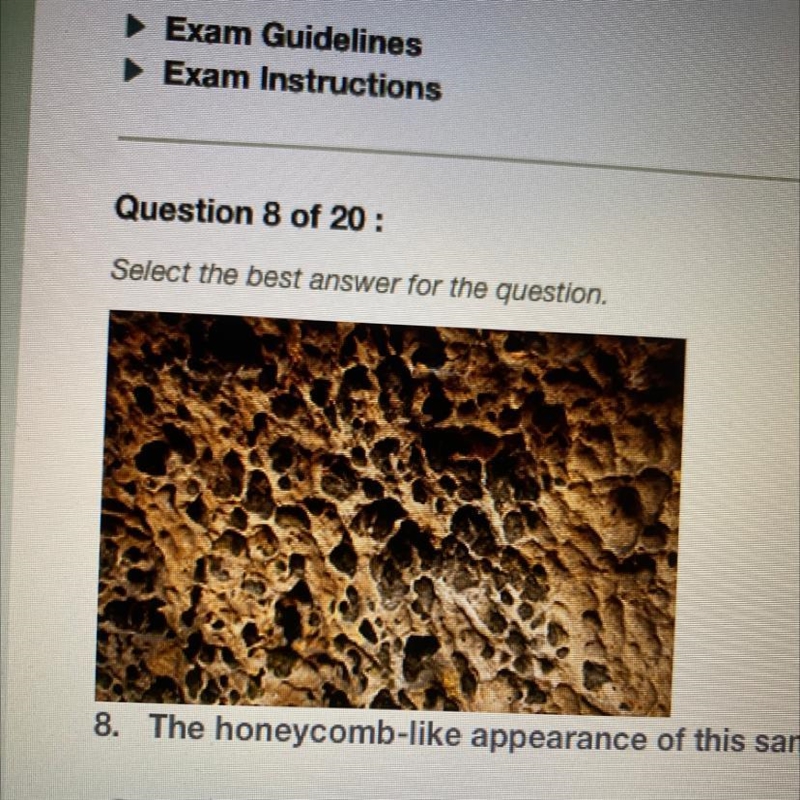 Question 8 of 20: Select the best answer for the question. The honeycomb-like appearance-example-1