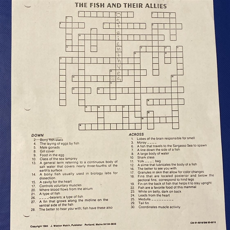 The Fish And Their Allies crossword puzzle help please-example-1