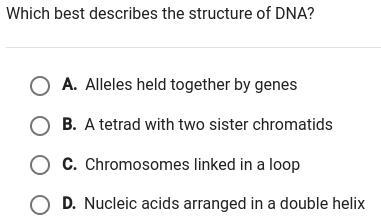 Which best describes the structure of DNA?-example-1