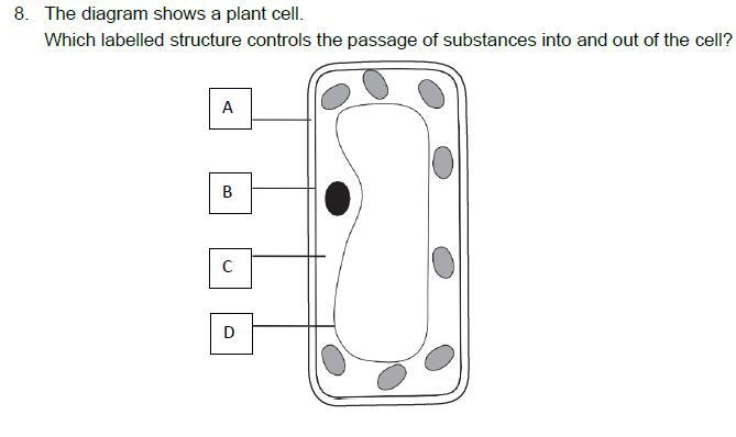 What's the answer for this question?-example-1