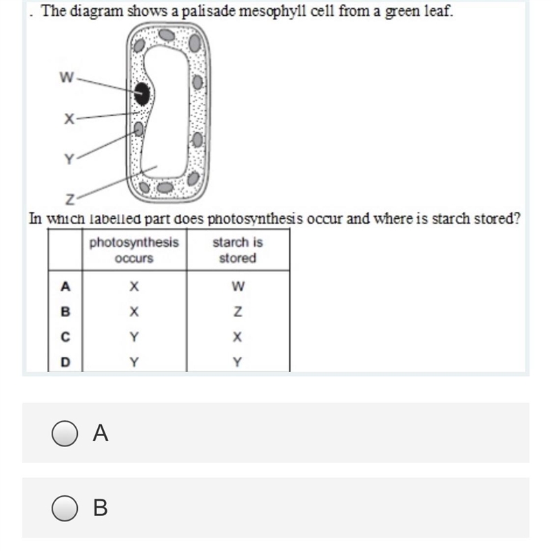 There are the choice c and d to Help please I have no time-example-1