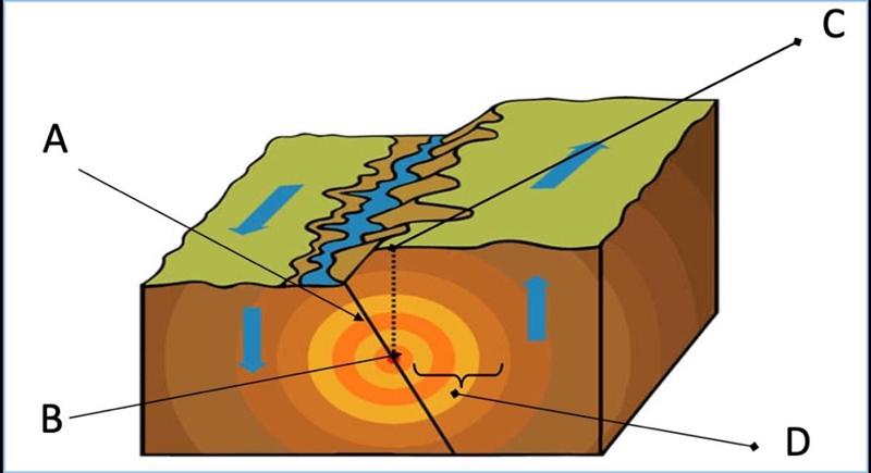 explain how and why an earthquake occurs in thorough detail. You should also be identifying-example-1