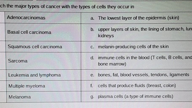 17. Match the major types of cancer with the types of cells they occur in Adenocarcinomas-example-1