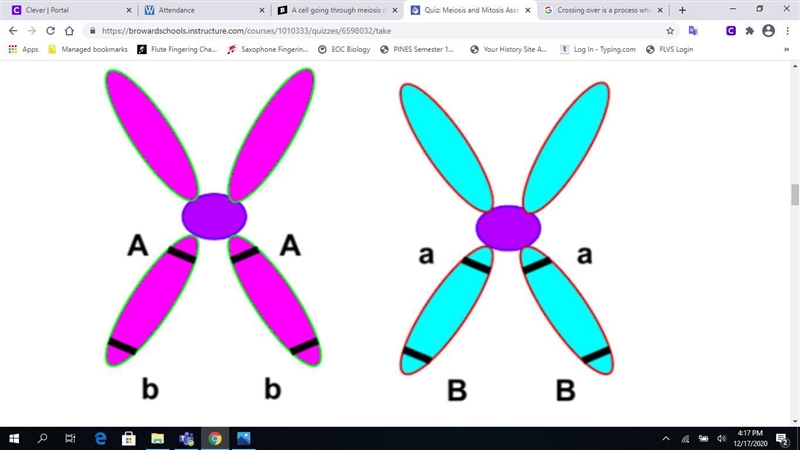 Crossing over is a process which contributes to diversity in offspring of an organism-example-1