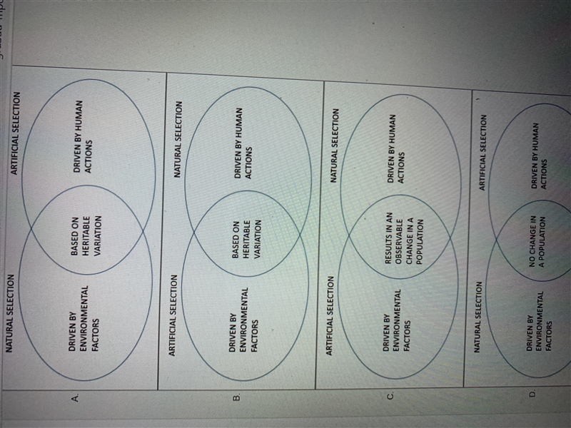 Which of the following graphic organizers best compares natural selection and artificial-example-1