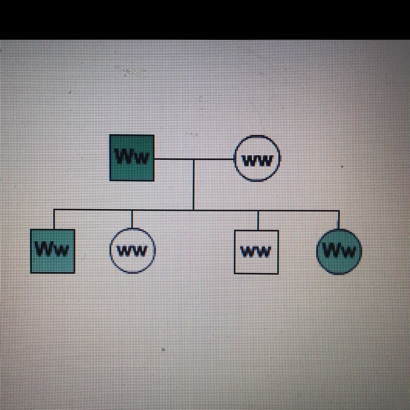 What kind of allele results in the trait indicated by the green color being expressed-example-1