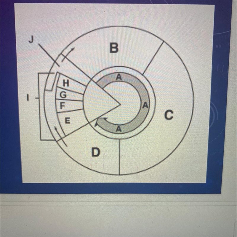 What is the correct order of the Cell Cycle? A- B- C- D- E- F- G- H- I- J--example-1