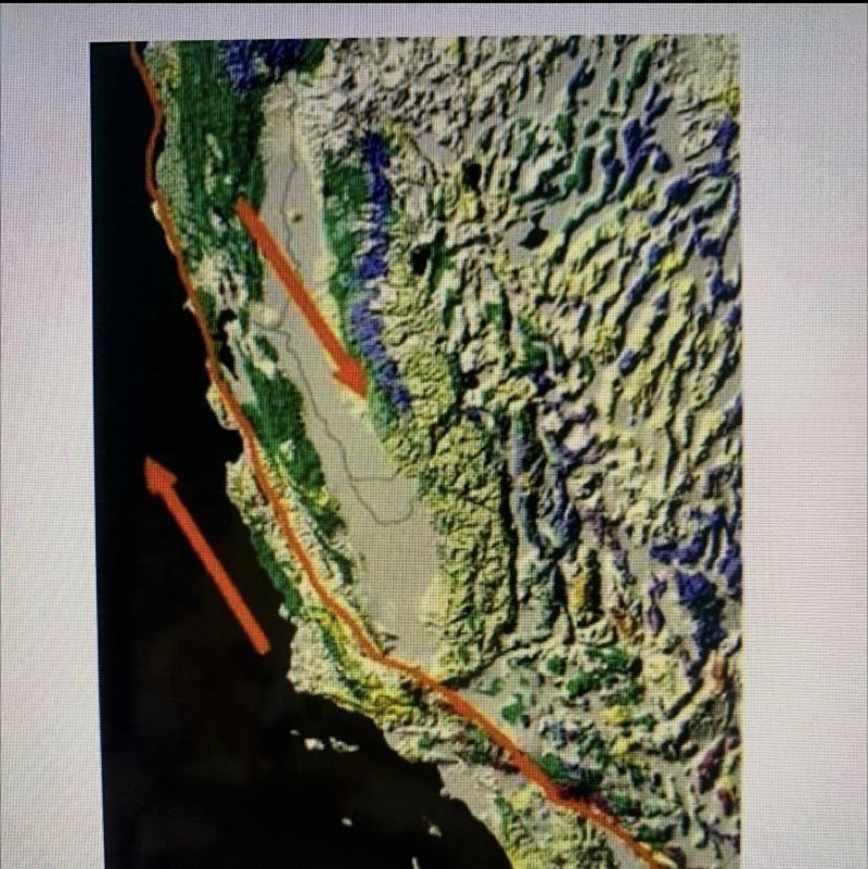 Earthquakes are relatively common throughout the west coast, especially in California-example-1