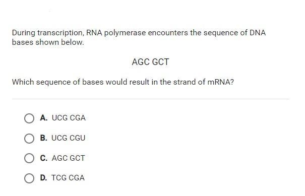 Which sequence of bases would result in the strand of mRNA?-example-1