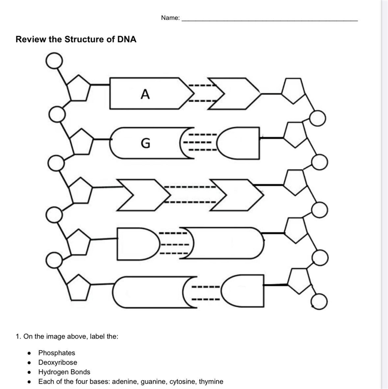 Can someone do this ASAP will give lots of points-example-1