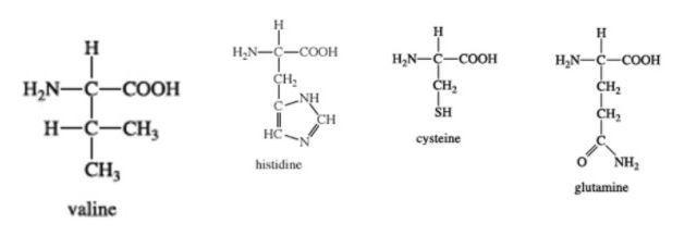 Imagine a polypeptide chain that contains the following amino acids, among several-example-1