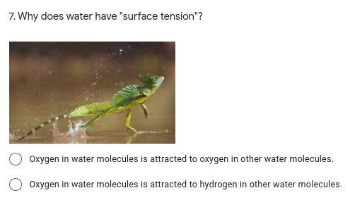 Why does water have "surface tension"?-example-1