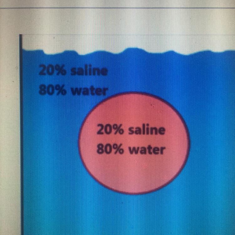 A blood cell is placed into the jar, as seen. Where will the water go? A: Equally-example-1