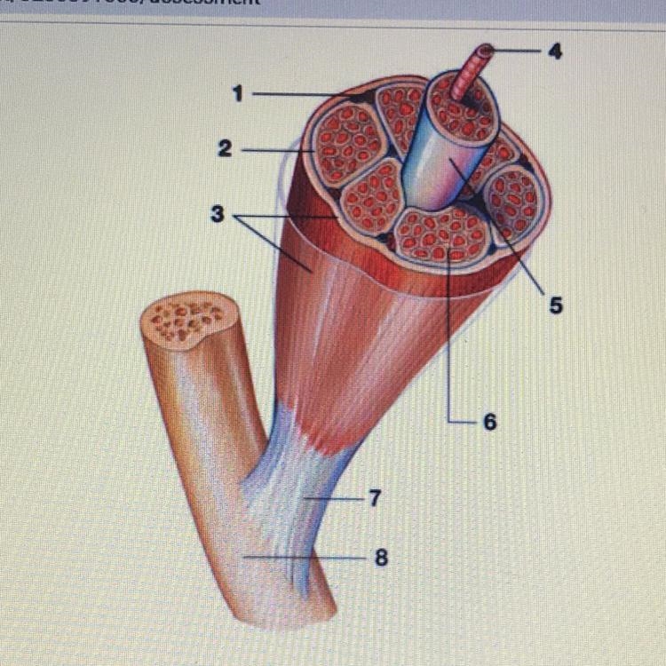 Can someone help me label this PLSSSS-example-1