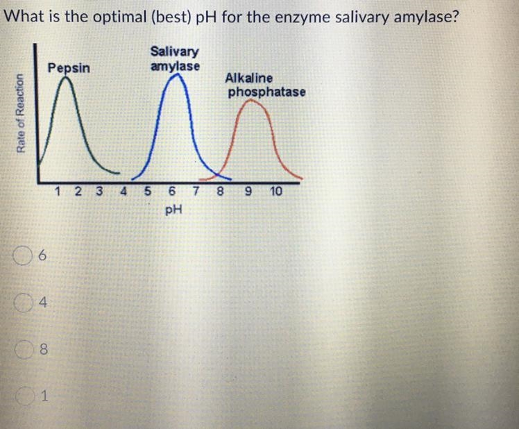 30 points, please answer question in picture :) i need help-example-1