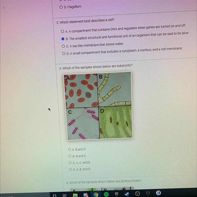 Which sample is eukaryotic-example-1