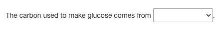 Where does the carbon used to make glucose come from? .-example-1