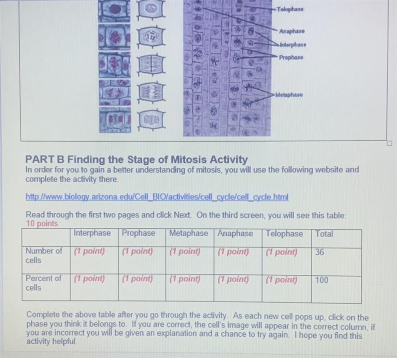 PLEASE HELP ME ASAP Does anyone know the answers for the 3.25 Mitosis lab?-example-1