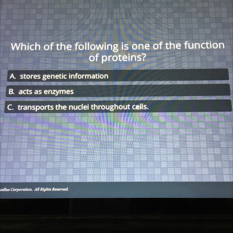 Please helppp! Easy 10 points-example-1