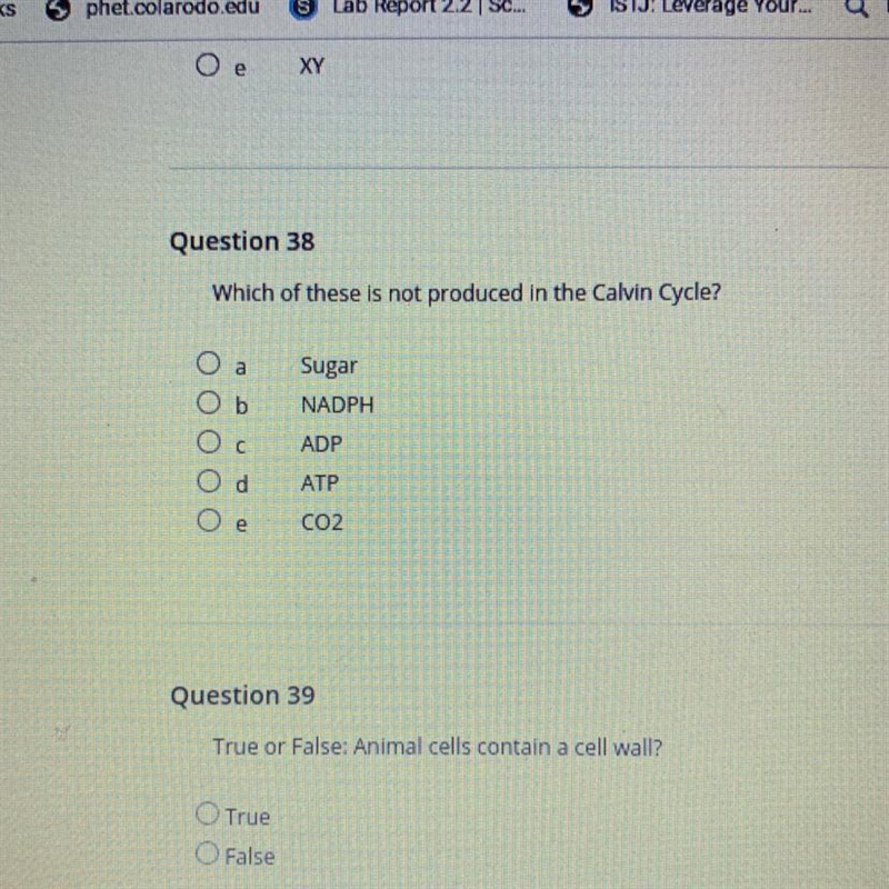 Which of these is not produced in the Calvin Cycle? Sugar NADPH ООООО с ADP d АТР-example-1