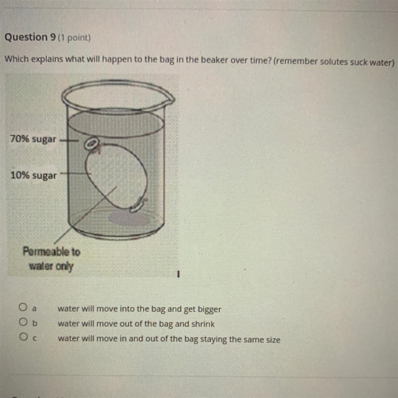 Which explains what will happen to the bag in the beaker over time? (remember solutes-example-1